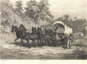 Muleskinners